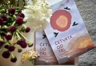 Četvrta od tri Petra Mehmendović knjiga recenzija