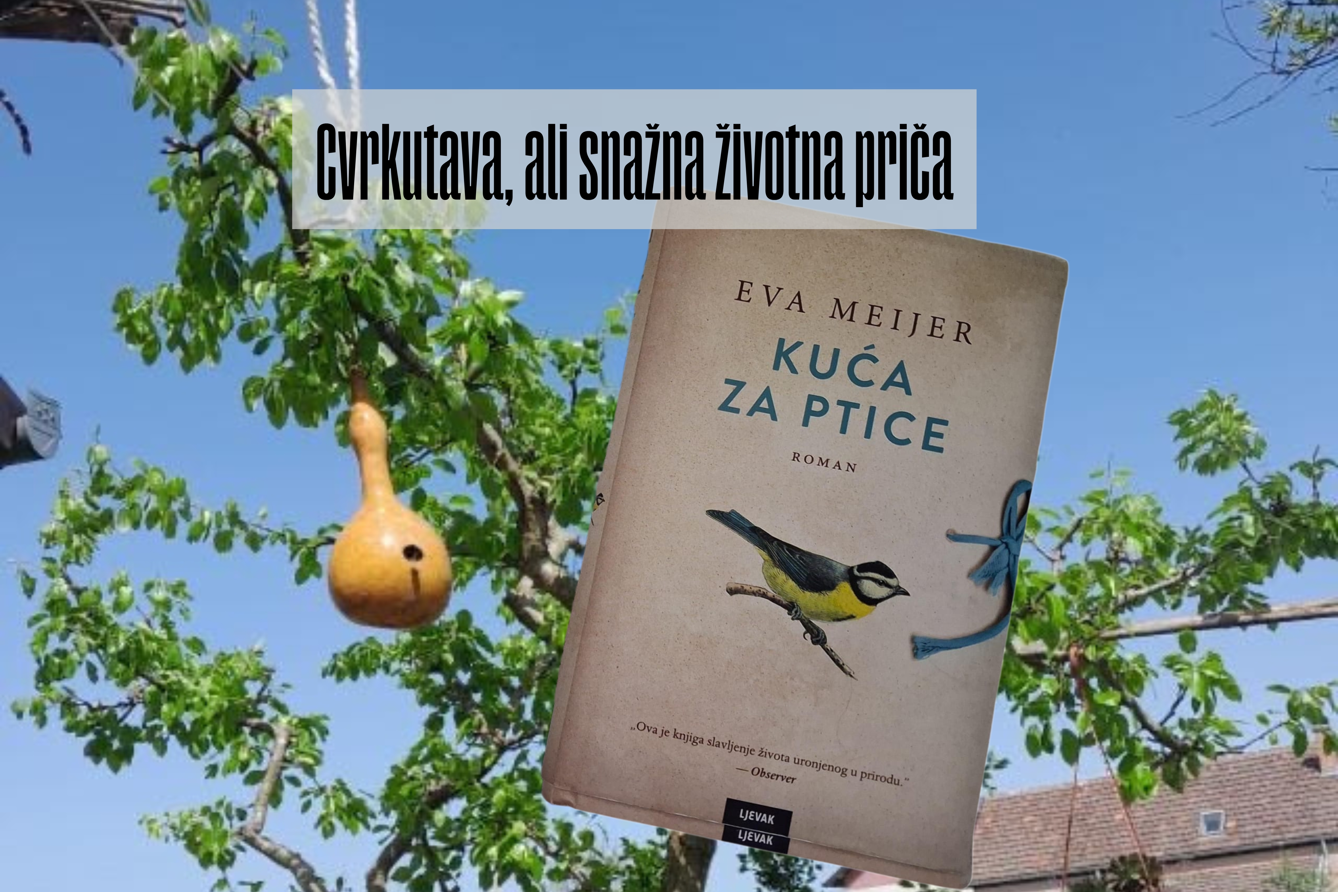 Kuća za ptice